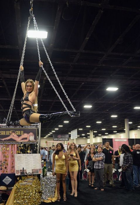 Exxxotica 2013 girls, Fort Lauderdale, Florida, United States