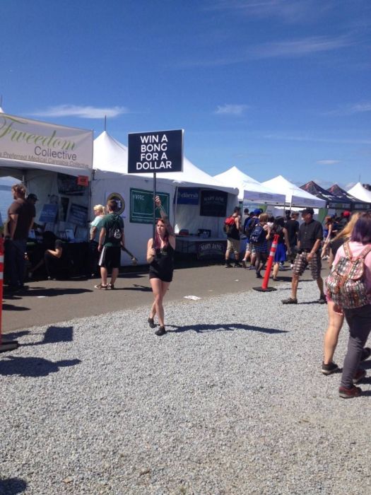 Seattle Hempfest 2013, Washington, United States