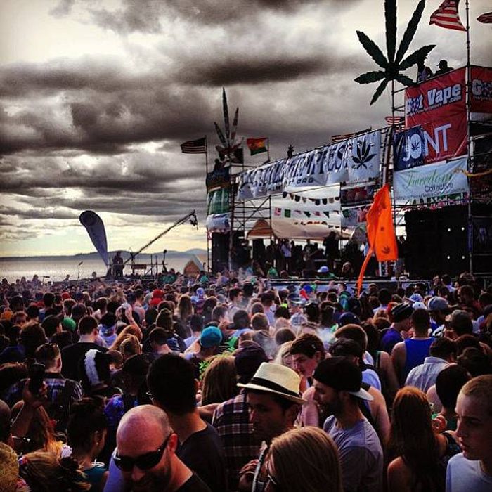 Seattle Hempfest 2013, Washington, United States