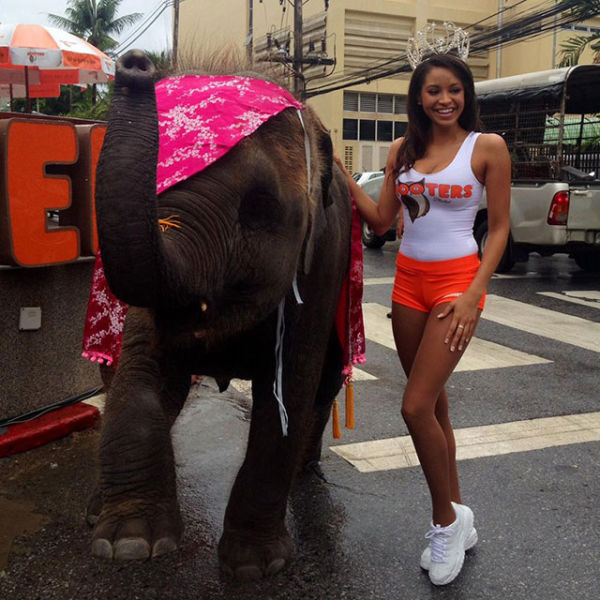 hooters restaurant girls