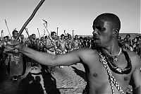 TopRq.com search results: 60 000 virgins for the king of Swaziland