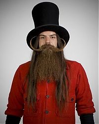 People & Humanity: Best beard in the world