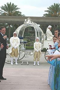 TopRq.com search results: Photos from most unusual weddings