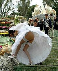 TopRq.com search results: Photos from most unusual weddings