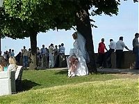 TopRq.com search results: Photos from most unusual weddings