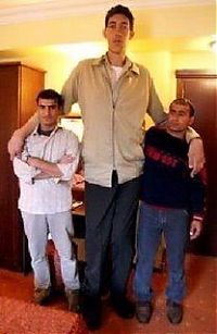 People & Humanity: Sultan Kosen, Tallest man in the world, 2 meters 47 centimeters, Turkey