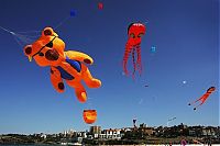 People & Humanity: Wind festival in Australia