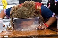 People & Humanity: Redneck Games 2009, East Dublin, Georgia, United States