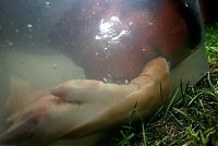 People & Humanity: Redneck Games 2009, East Dublin, Georgia, United States