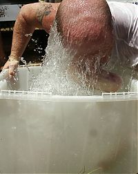 People & Humanity: Redneck Games 2009, East Dublin, Georgia, United States