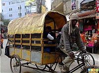 People & Humanity: School transport for children, India