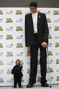 TopRq.com search results: Tallest man in the world met with the smallest, Sultan Kosen, 246.5cm, He Pingping, 73cm