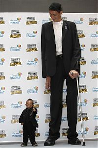 TopRq.com search results: Tallest man in the world met with the smallest, Sultan Kosen, 246.5cm, He Pingping, 73cm