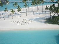 TopRq.com search results: Fairyland proposall, Maldives, Indian Ocean