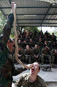 People & Humanity: Cobra Gold, multinational military exercises, Thailand