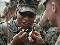 TopRq.com search results: Cobra Gold, multinational military exercises, Thailand