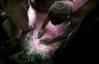People & Humanity: Holi, Festival of Colors, India