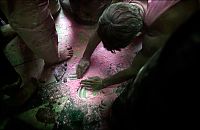 TopRq.com search results: Holi, Festival of Colors, India