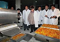 People & Humanity: Kim Jong-il inspection and audit