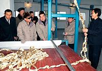 People & Humanity: Kim Jong-il inspection and audit