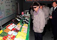 People & Humanity: Kim Jong-il inspection and audit