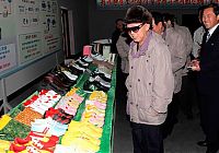 TopRq.com search results: Kim Jong-il inspection and audit