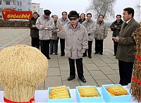 People & Humanity: Kim Jong-il inspection and audit