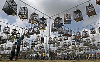 People & Humanity: Bird Singing Contest  2010 in Yala Province, Thailand