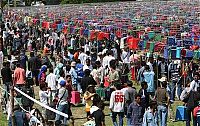 People & Humanity: Bird Singing Contest  2010 in Yala Province, Thailand