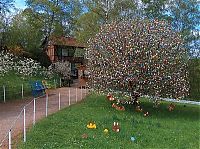 People & Humanity: Easter Tree by Volker Kraft