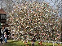 People & Humanity: Easter Tree by Volker Kraft