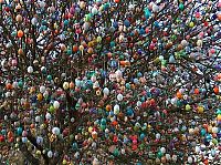 People & Humanity: Easter Tree by Volker Kraft