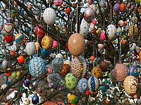 People & Humanity: Easter Tree by Volker Kraft