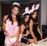 TopRq.com search results: sexy easter rabbit girl