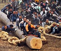 People & Humanity: Ki-otoshi ceremony, Onbashira festival, Nagano, Japan