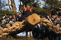 People & Humanity: Ki-otoshi ceremony, Onbashira festival, Nagano, Japan
