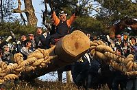 TopRq.com search results: Ki-otoshi ceremony, Onbashira festival, Nagano, Japan