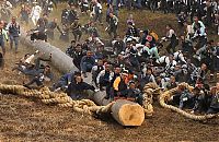 People & Humanity: Ki-otoshi ceremony, Onbashira festival, Nagano, Japan