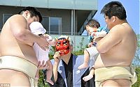 TopRq.com search results: Annual Naki Sumo (Crying Sumo) contest