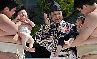 TopRq.com search results: Annual Naki Sumo (Crying Sumo) contest