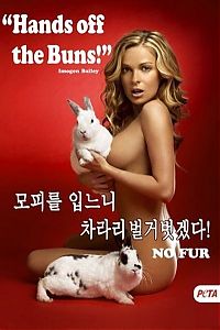 TopRq.com search results: PETA Activists campaign