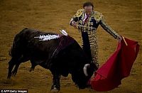 TopRq.com search results: Frank Evans, 67-year-old Matador