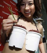 TopRq.com search results: Grow-Your-Own Rice Bra