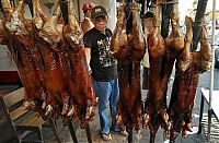 People & Humanity: Parada ng Lechon, Parade of Roast Pigs