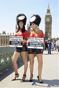 People & Humanity: peta bearskins protest girls