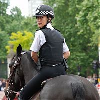 TopRq.com search results: police woman