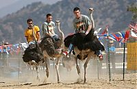 People & Humanity: Ostrich festival, Chandler, Arizona