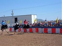 TopRq.com search results: Ostrich festival, Chandler, Arizona