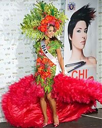 People & Humanity: Miss Universe 2010 National Costume show