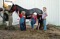 People & Humanity: Macey and Mackenzie Garrison, conjoined twins